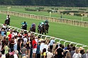 Ascot Renntag09   090